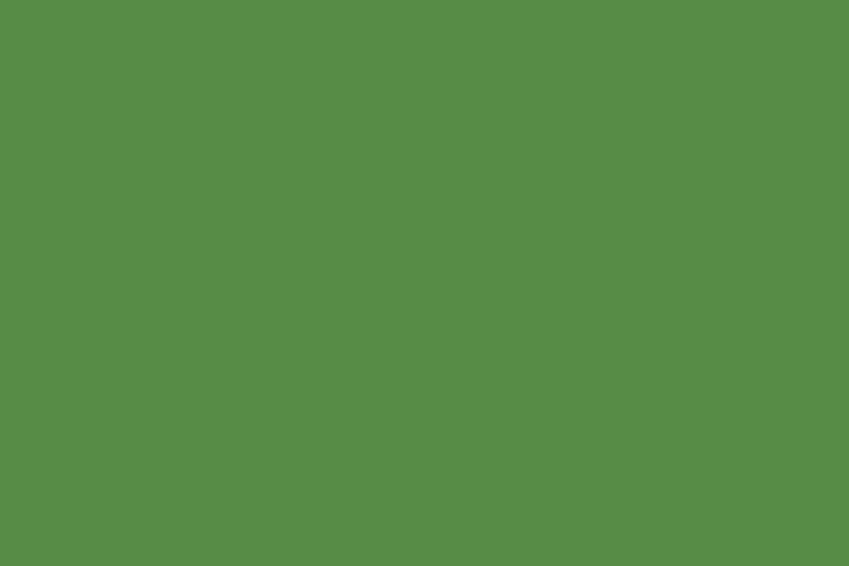 HP_Green-Background